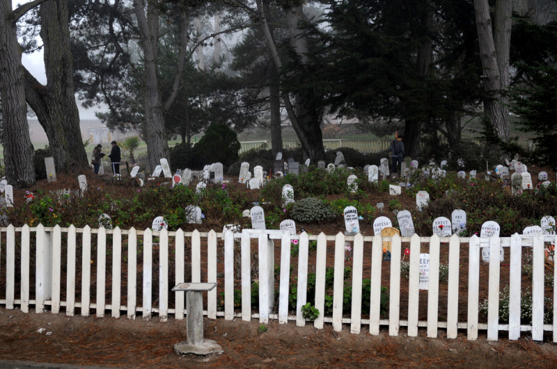 pet cemetery